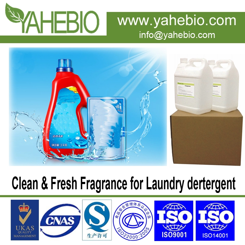 Clean & Fresh fragrance for laundry detergent
