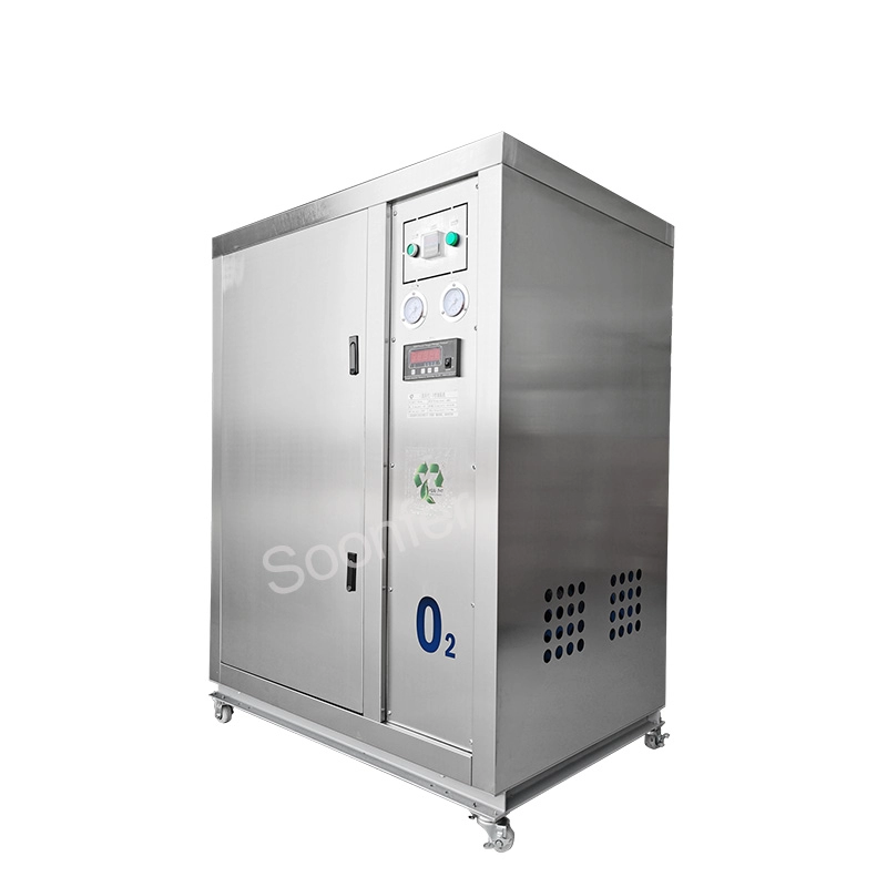 China 10l small psa medical oxygen generator plant machine price