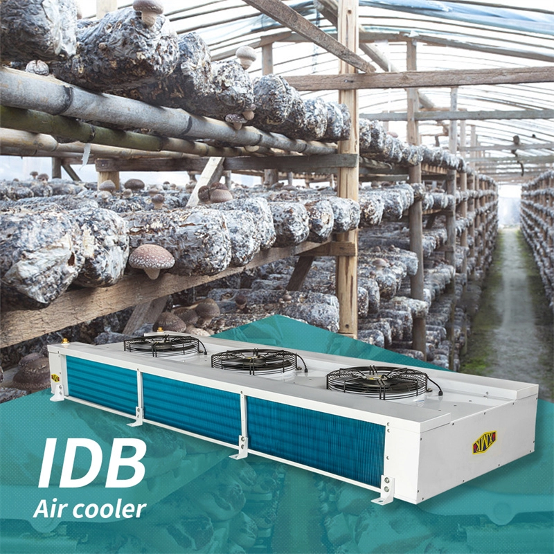 Vegetable greenhouse IDB series cooling system evaporator