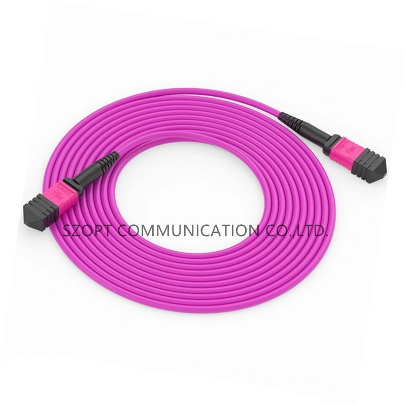 MPO-MPO MTP-MTP SM MM OM3 OM4 OM5 Trunk Cable 12/16/24C