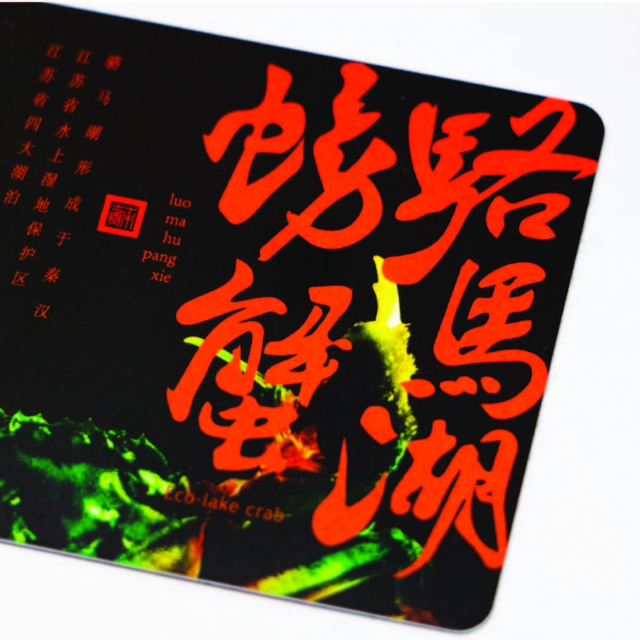 Anti-counterfeit hologram Card