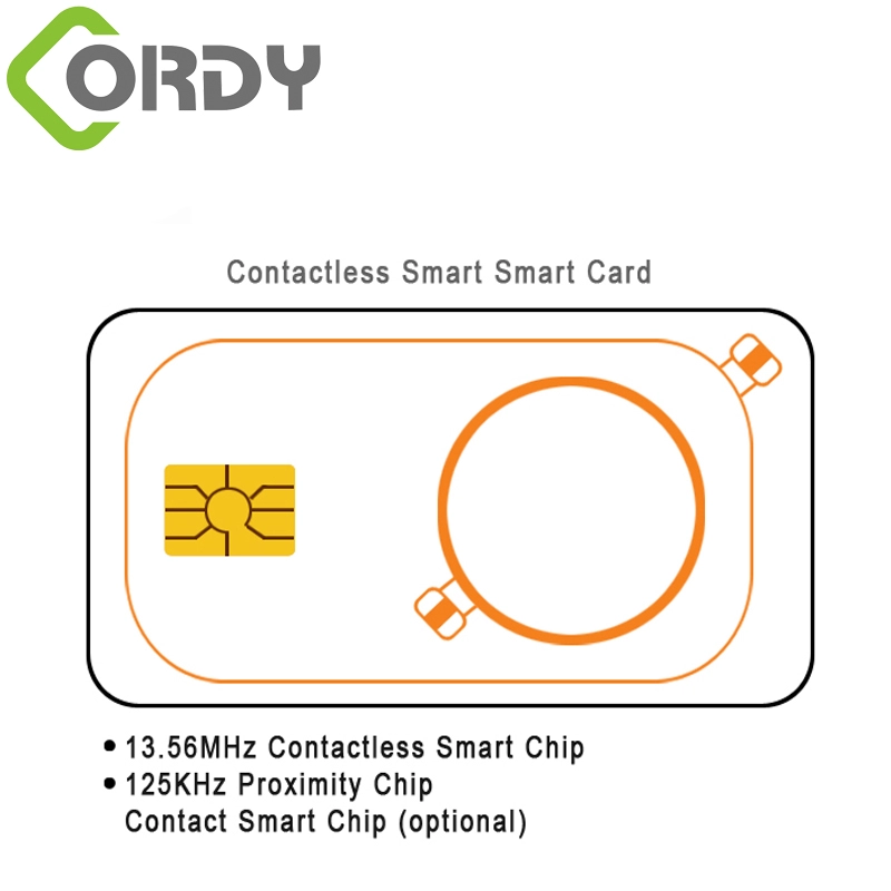 RFID dual card with magnetic stripe Card with contact IC