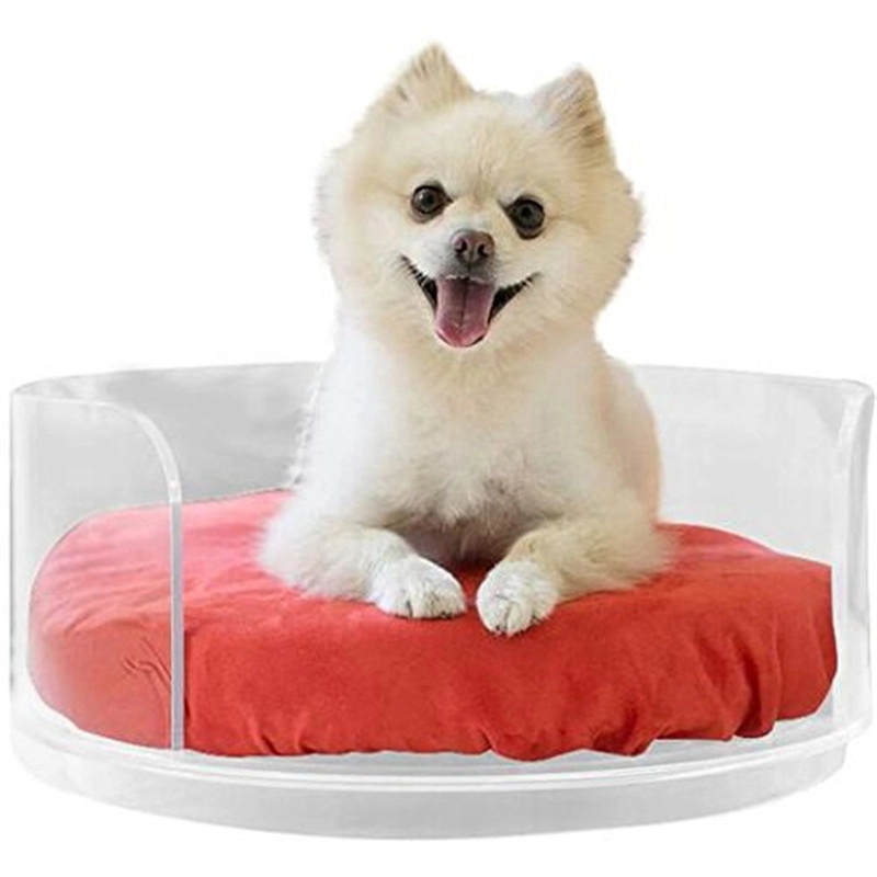 Large Clear Acrylic Dog Bed