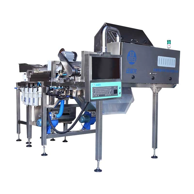 Optical Color Sorter for Fruit and Vegetable Sorting