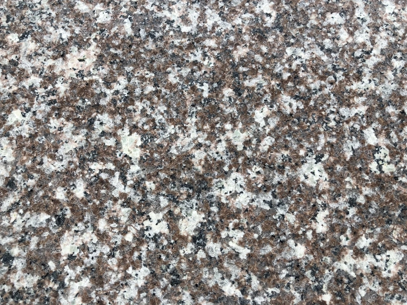 G664 Bainbrook Brown Granite Kitchen Countertop Mahogany Granite Vanity Top