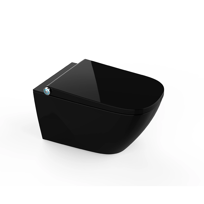 Intelligent Bidet seat with concealed cistern flush frame