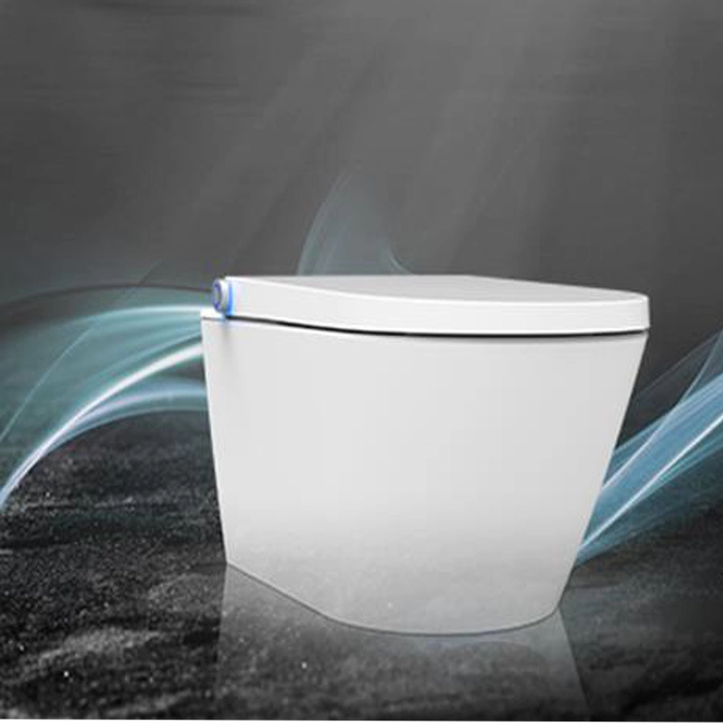 Intelligent DUSCH WC shower bidet Toilet seat white bidet toilet seat in rimless Design