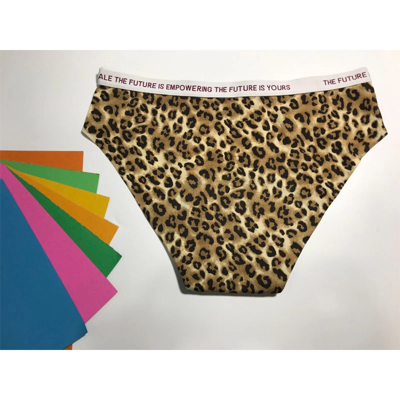 Leopard period underwear leak proof panties