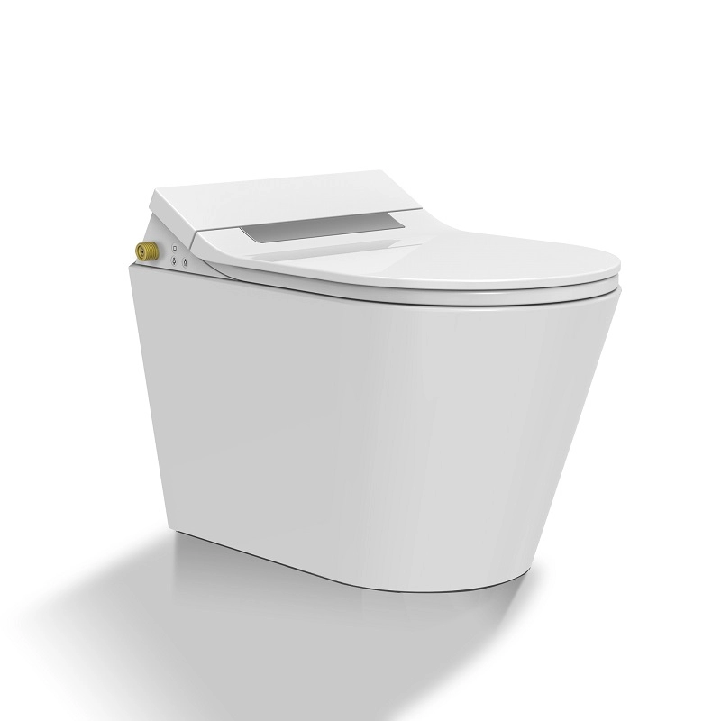 OEM brand Separate shower toilet attachment electronic bidet attachment