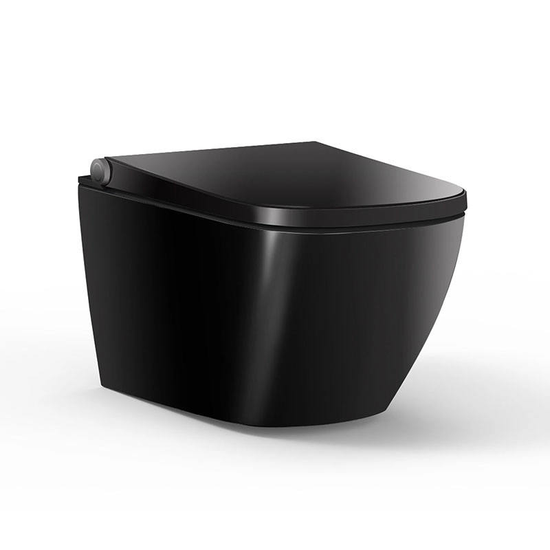 Square Shape Black Color Intelligent shower bidet Toilet seat