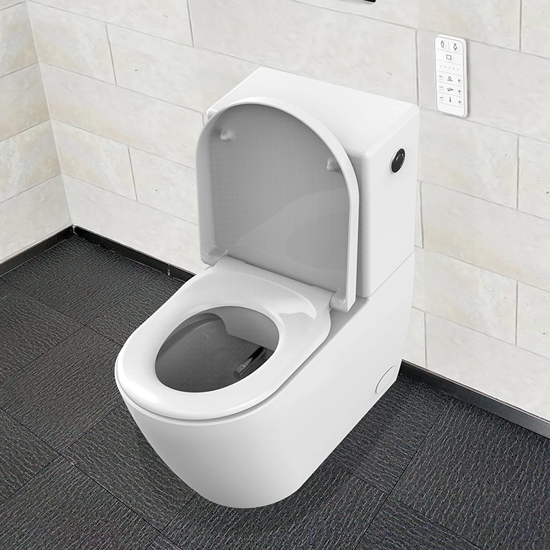 Smart toilet bidet with calcium deposit remover
