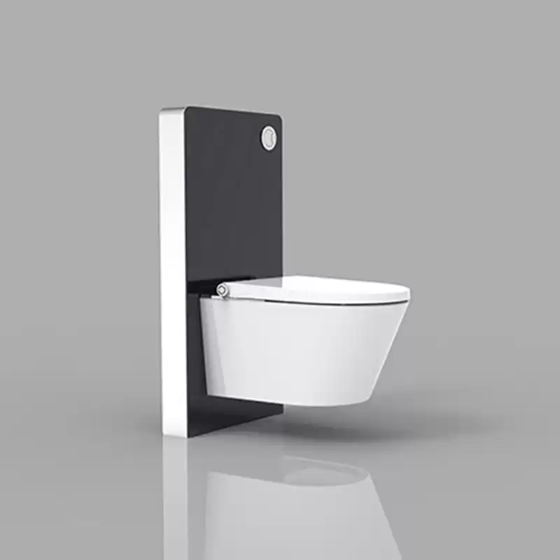 Electric Bidet Seat with black toilet Cabinet cistern