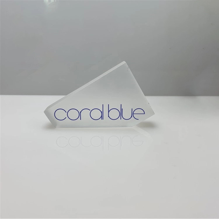 Custom 3D company business frosted plexiglass logo signs