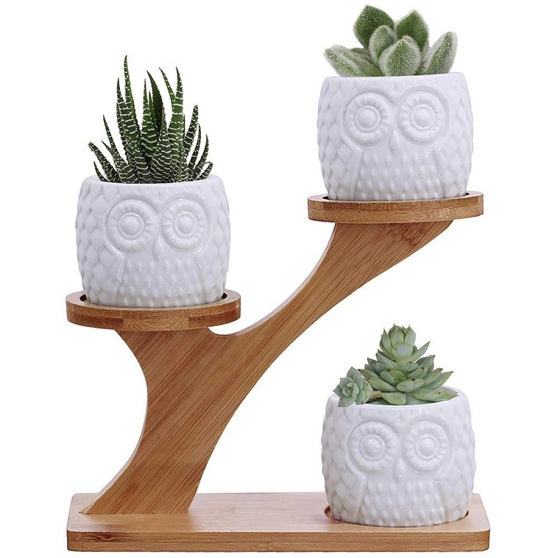 Ceramic Owl Small Gardon Succulent Plant Pots With Drainage and Bamboo Stand