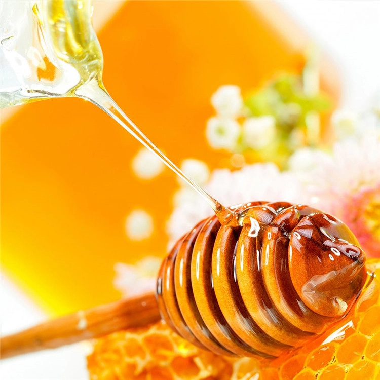 Premium Original Natural Sunflower Honey HALAL