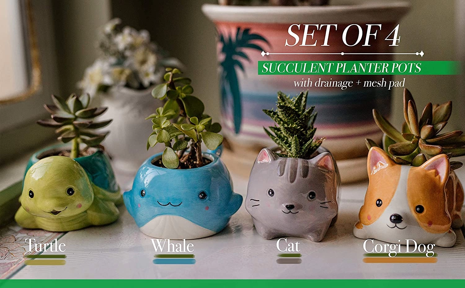 Cute Animal Succulent Planter Pots with Drainage  For Table Decoration