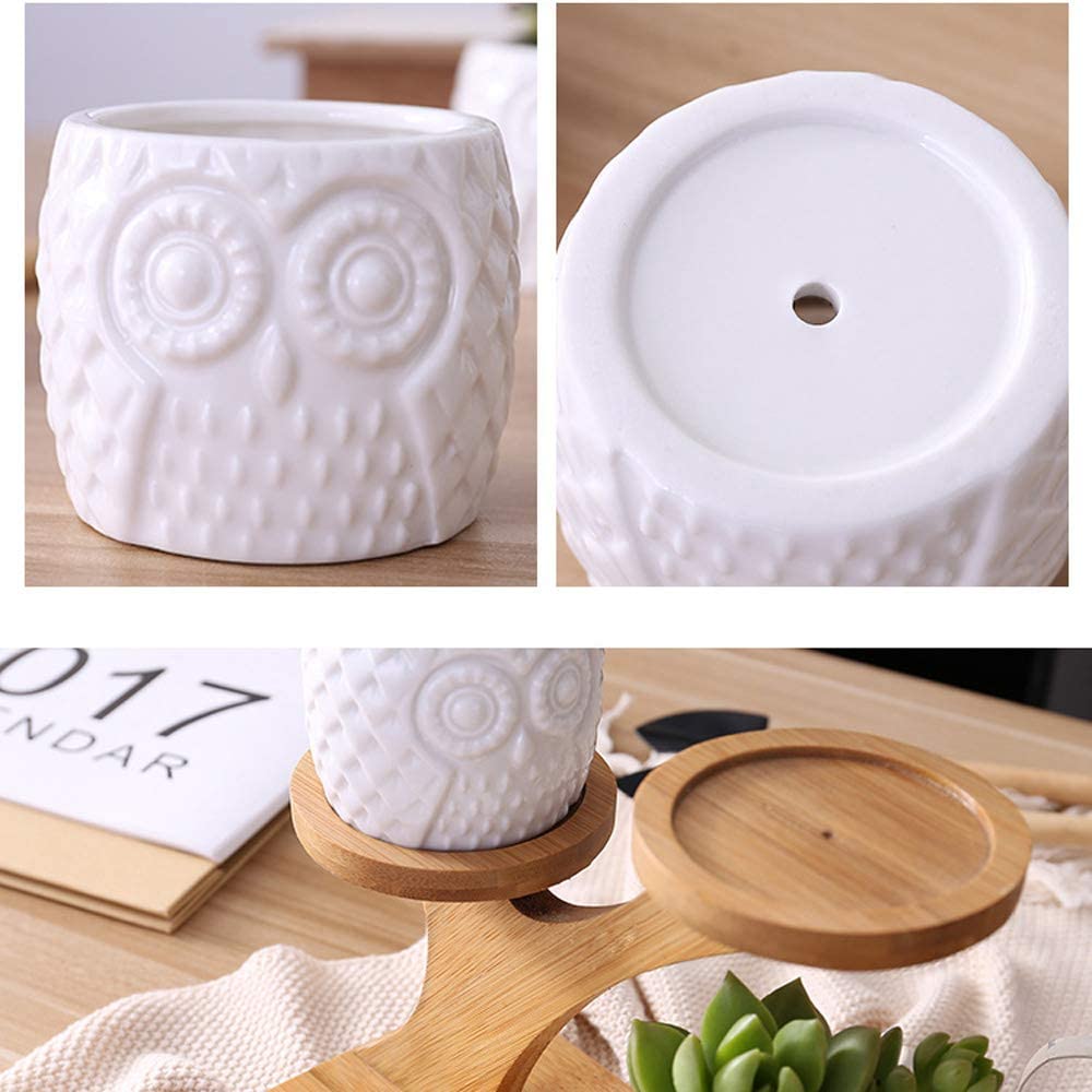 Ceramic Owl Garden Pots