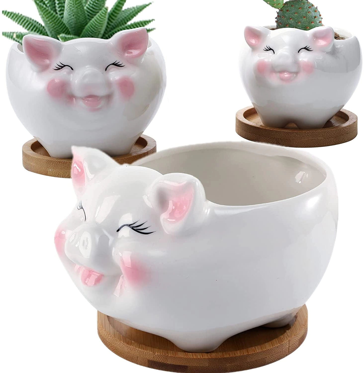 Cute Pig Shaped Ceramic Succulent Container with Bamboo Drainage Tray