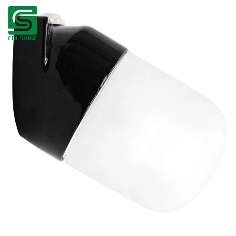 Black Angled Porcelain Ceiling and Wall Light fixture with glass shade IP54