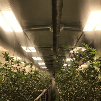 Waterproof IP65 Indoor high-efficiency led plant growth light