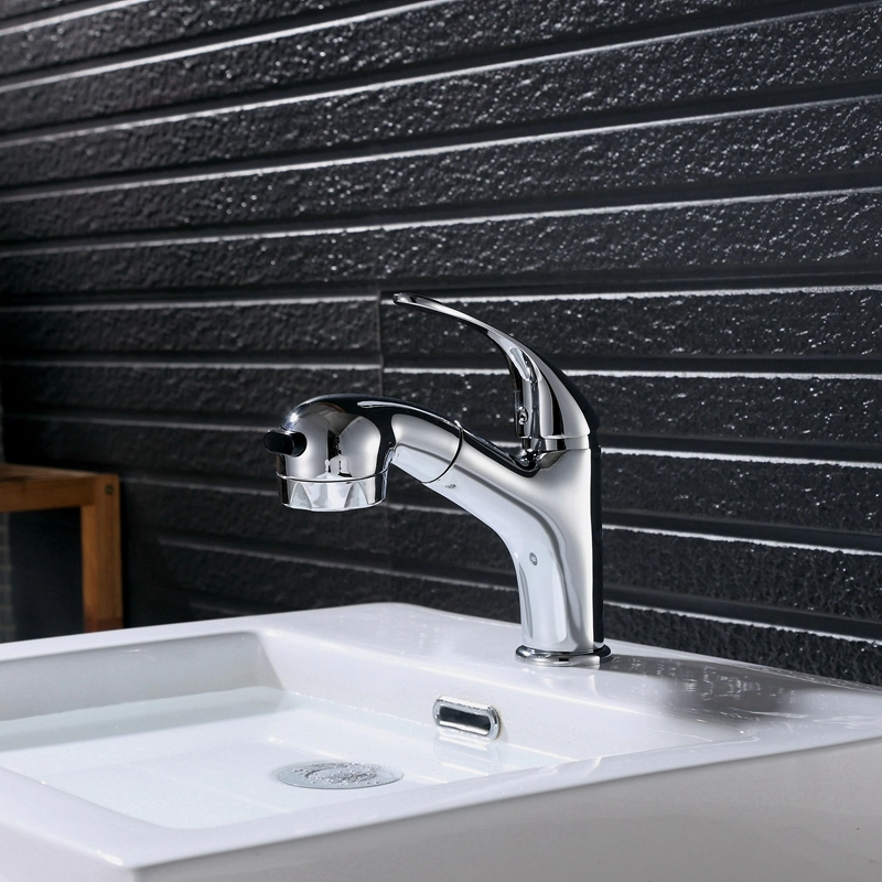 Two Function Pull Out Spray Basin Faucet