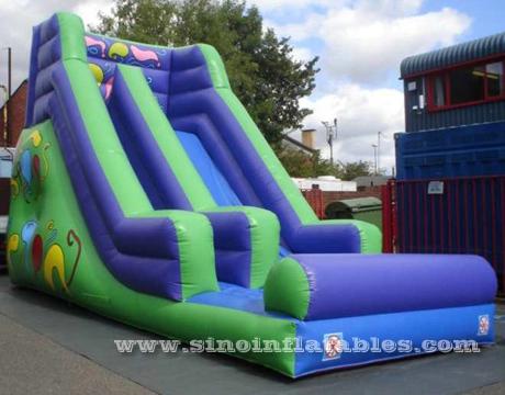 Commercial grade Eidolon inflatable slide for children outdoor parties