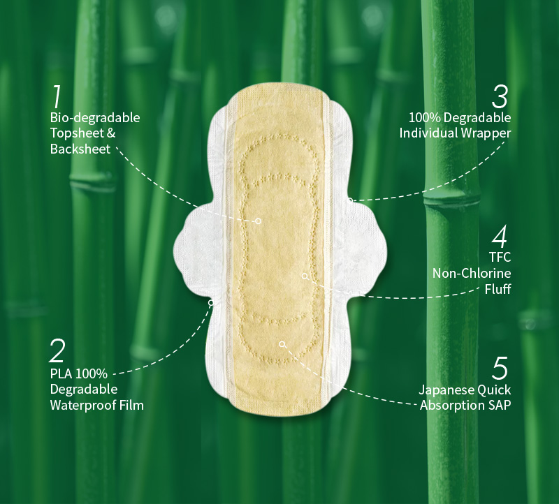 Eco Friendly Biodegradable Sanitary Pads