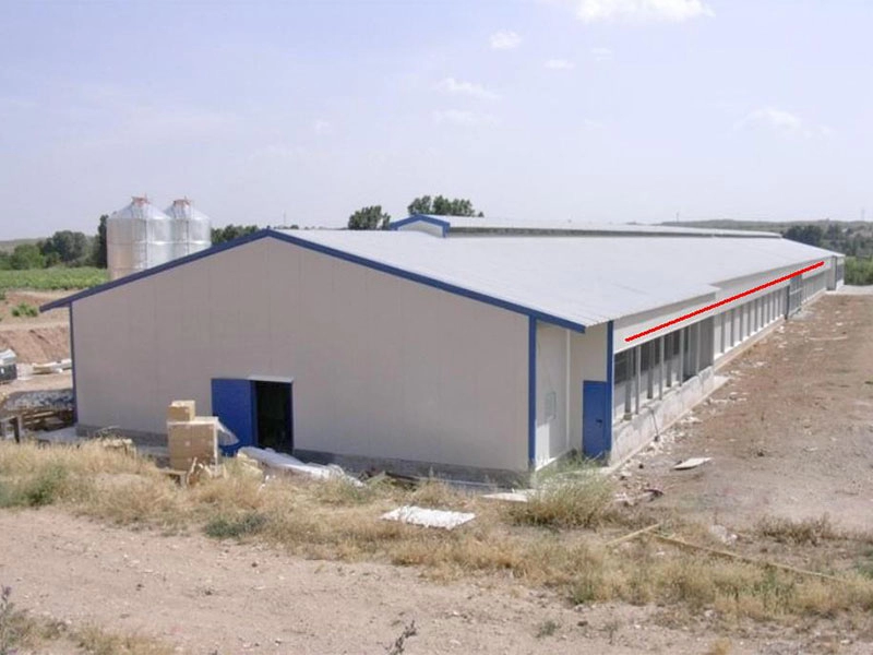 Steel structure chicken house agricultural buildings