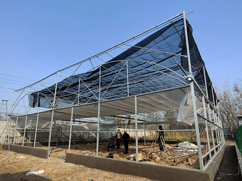 Vegetable and flower greenhouse