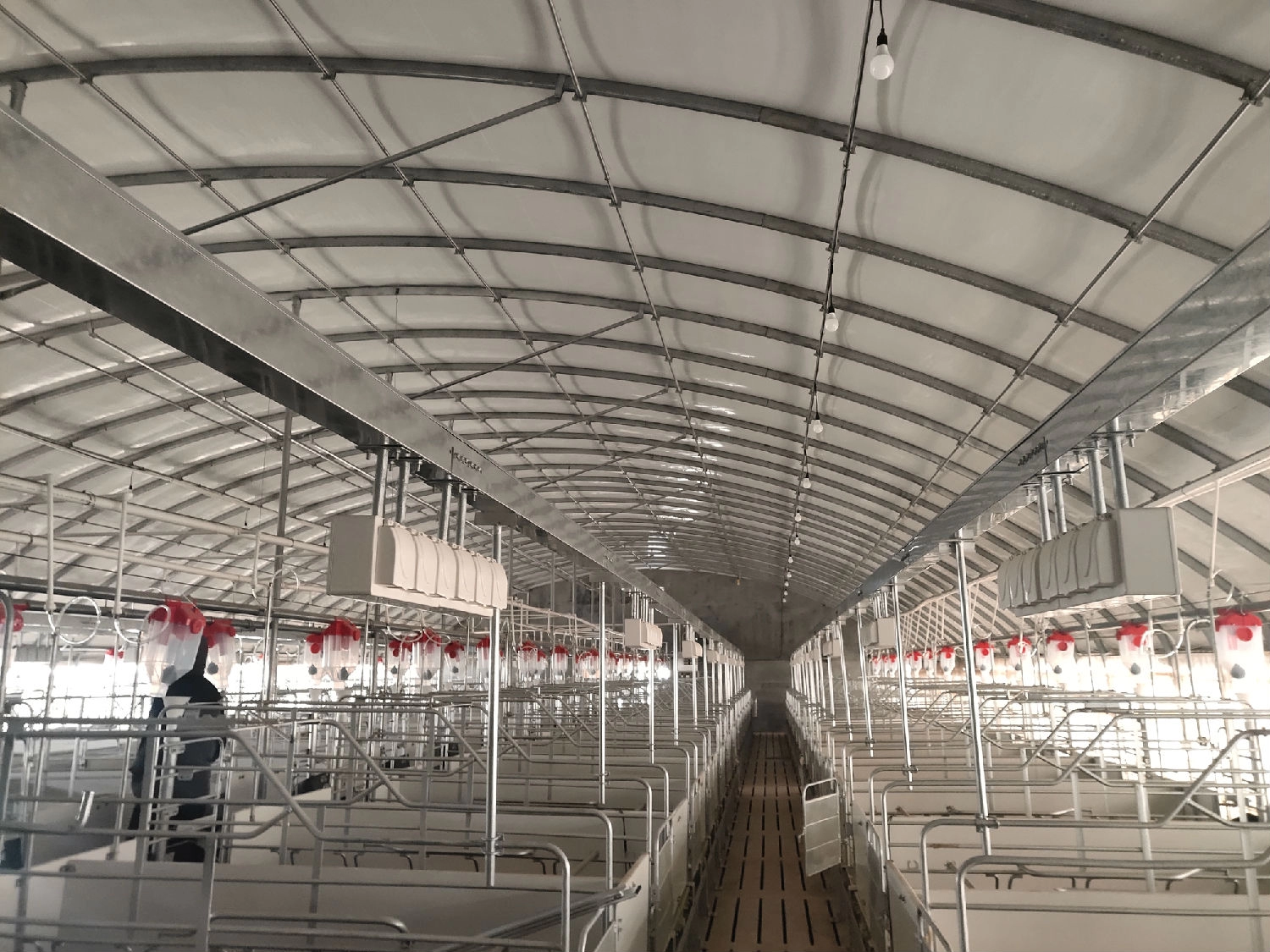 Steel structure breeding shed