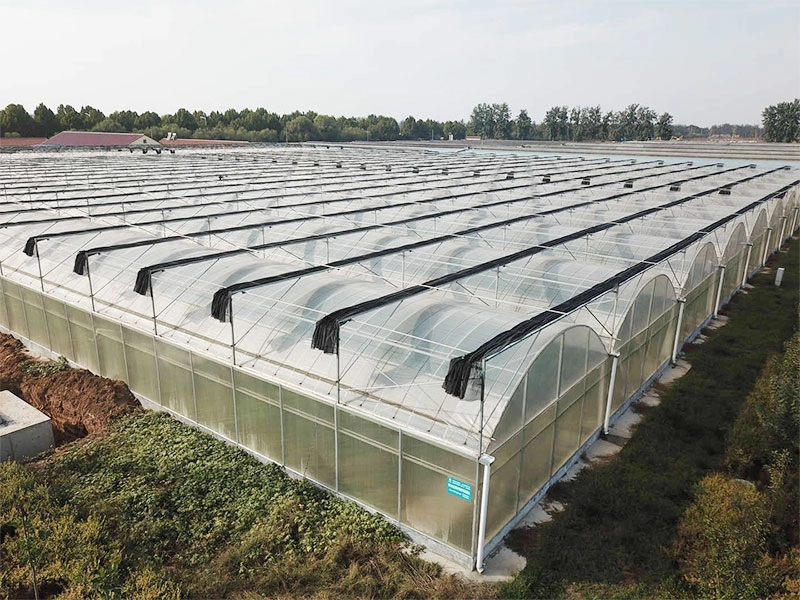 Steel structure greenhouse