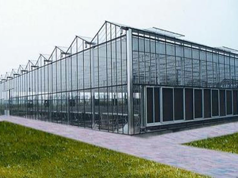 Glass vegetable and flower greenhouse