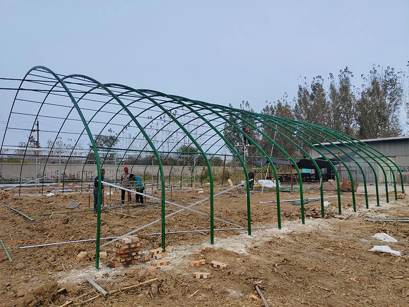 Steel Structure Poultry Shed