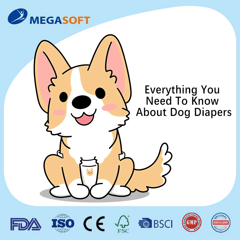 OEM Disposable Doggie Diapers for Girl or Boy Puppy Dog