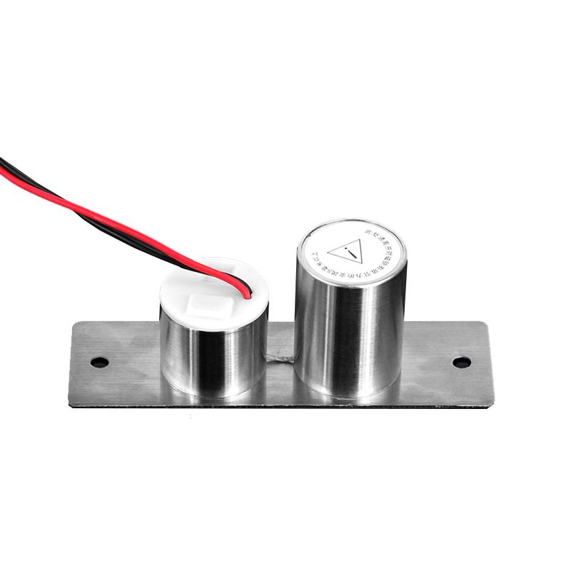 Mini Embedded Dropbolt Lock