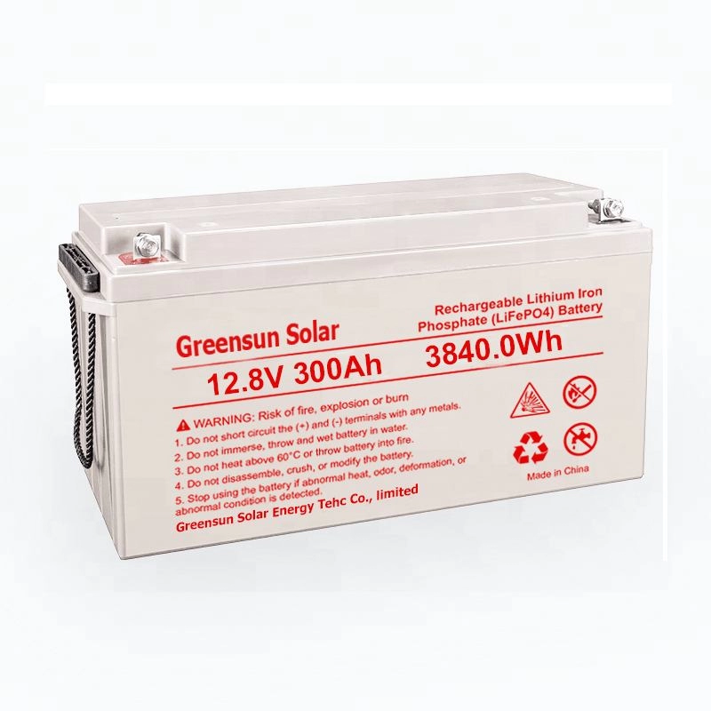 Lifepo4 battery 12v 24v 48v lithium iron battery