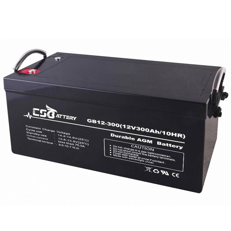 Lead Acid AGM VRLA Battery