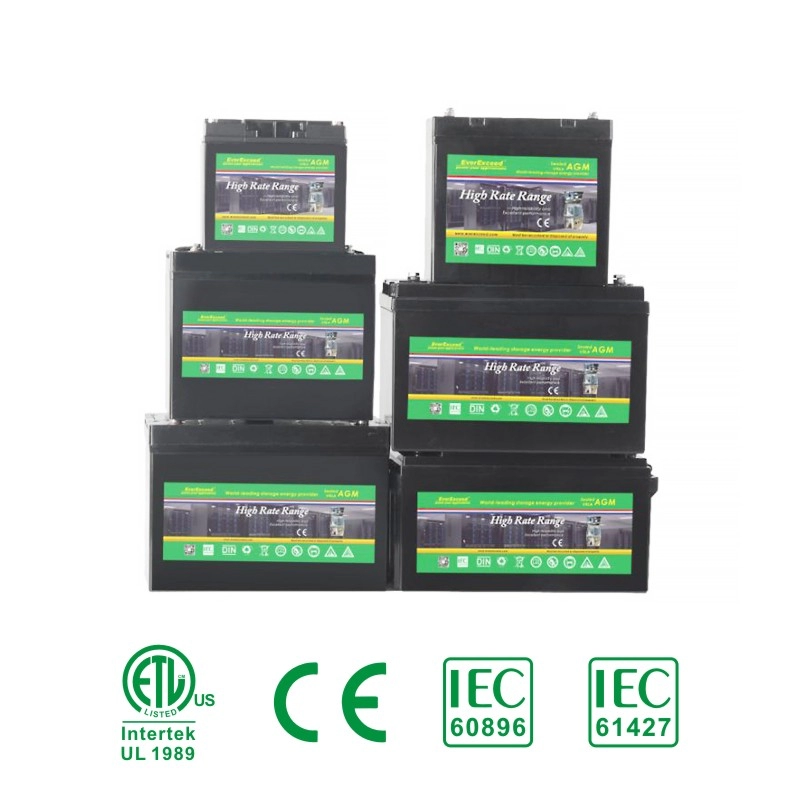 High Rate Range VRLA Battery