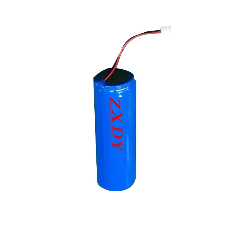 Rechargeable LFP 3.6ternary lithium battery 2600MAh