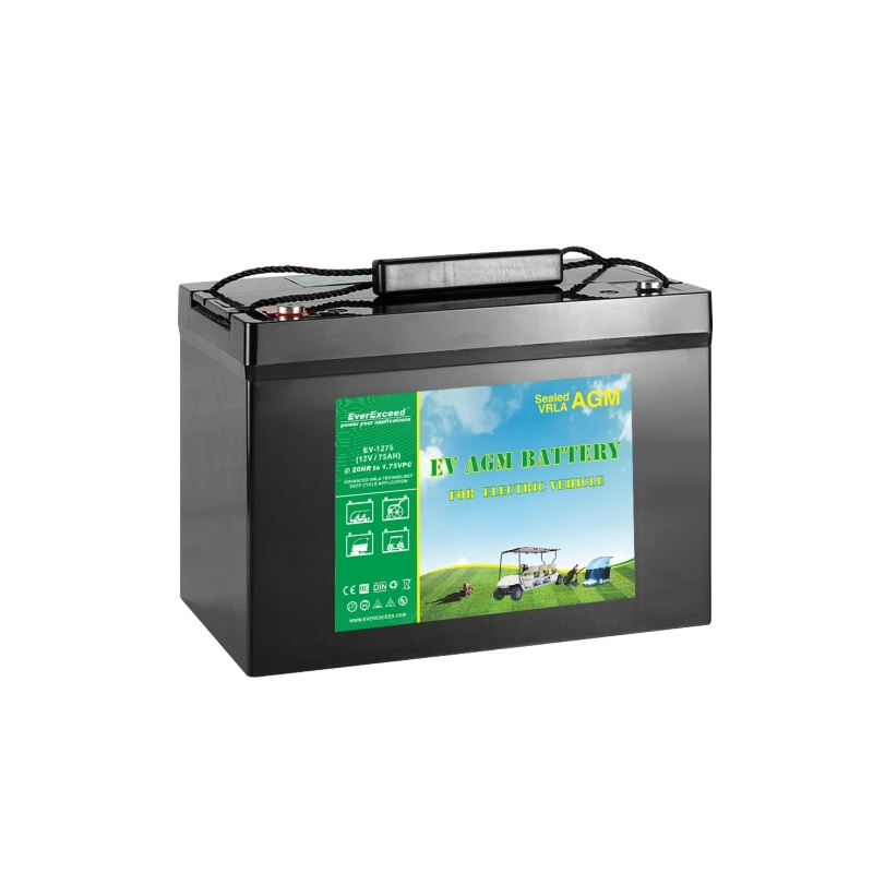 EV AGM Battery
