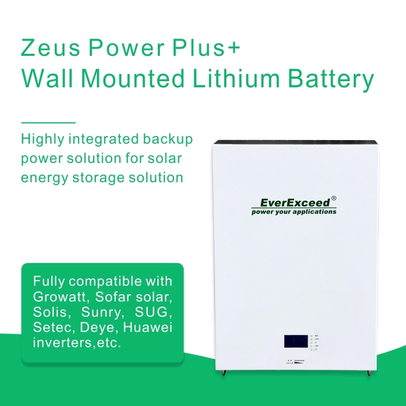 UL Approval 48V 2.4kwh Solar Panel Home Energy Storage Battery Wall mounted  Energy Storage Battery