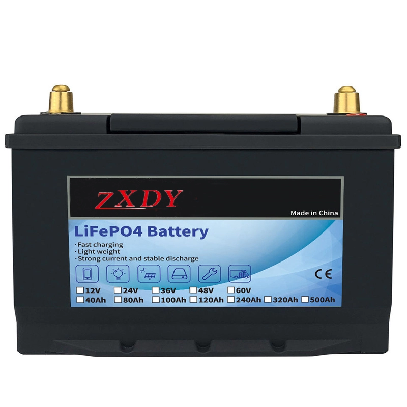 Lifepo4 battery 24v 40ah 60ah 80ah 100ah lithium ion battery pack for ev ups agv