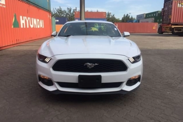 Mustang T70 White Pearl(Topcoat）Car Paint