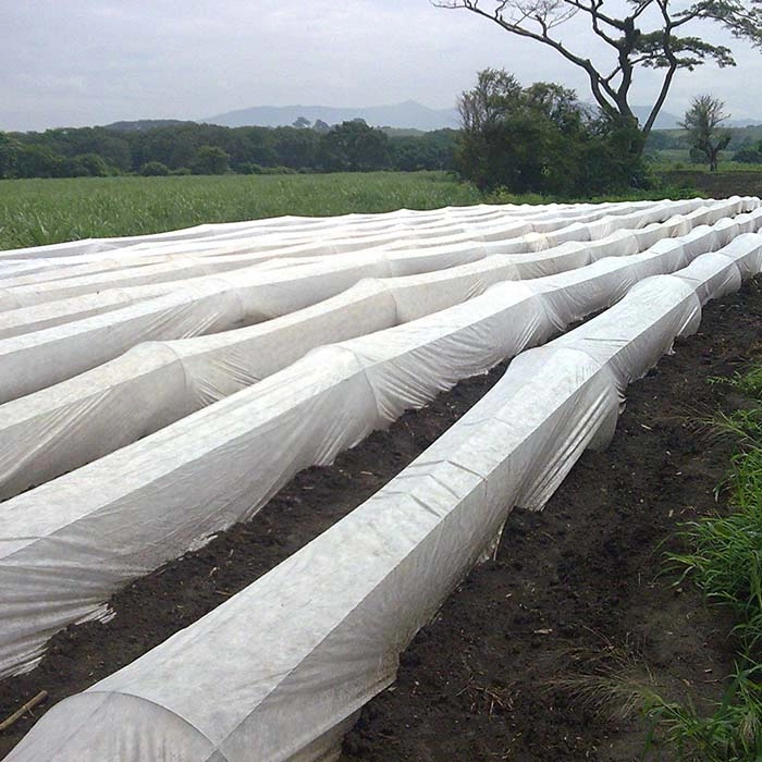 Nonwoven Ground Cover For Deep Shade