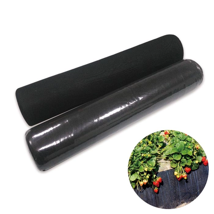 Weed Control Fabric For Vegetable Garden
