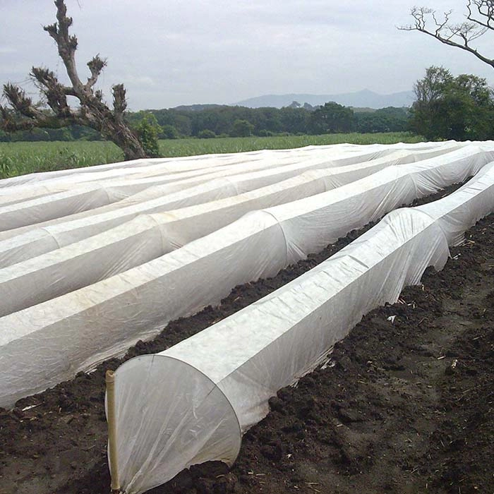 Non Woven Agriculture Fabric