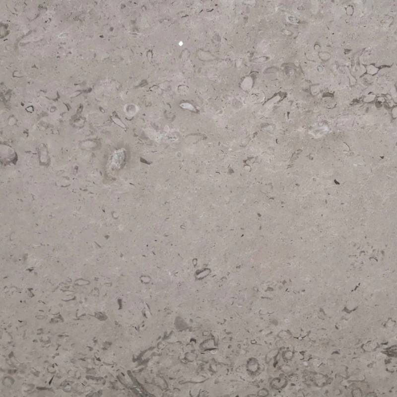 Polished Italy Repen Classico Grey Marble
