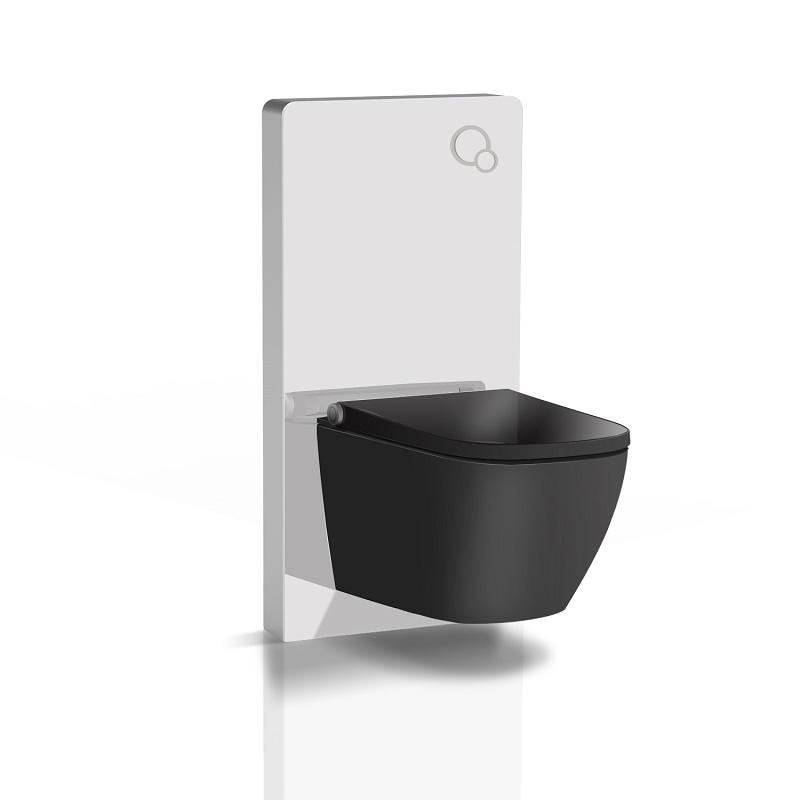 Electronic bidet with air dryer care seat