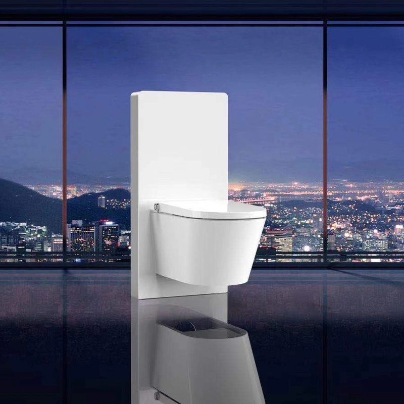 Contemporary cistern for WC units with neat and tidy design
