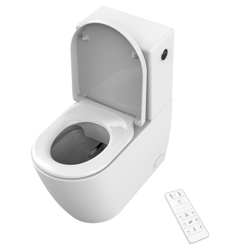 Compact smart toilet with bidet seat features a warm water spray